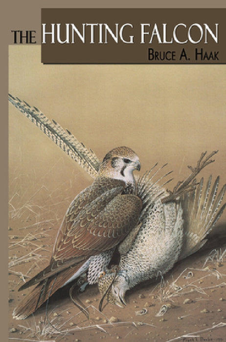 The Hunting Falcon by Bruce Haak