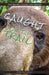 Caught on the Trail: Nature's Wildlife Selfies by Dale Bakken