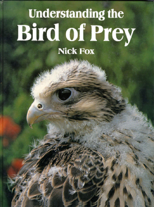 Understanding the Bird of Prey by Nicholas Fox