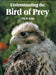 Understanding the Bird of Prey by Nicholas Fox