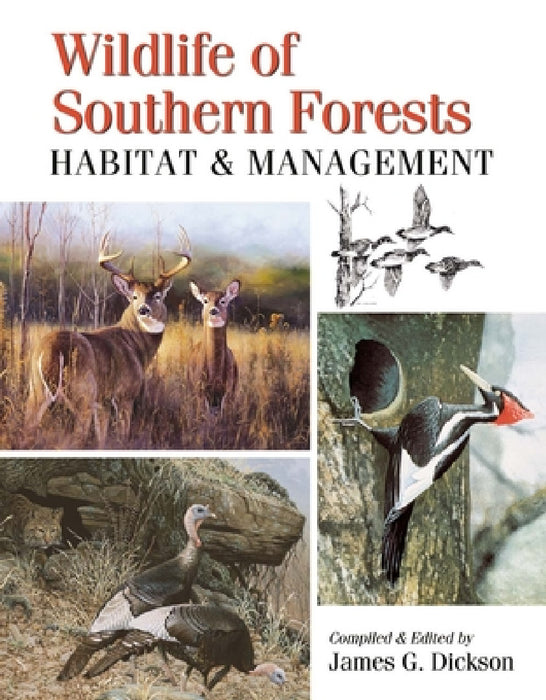 Wildlife of Southern Forests: Habitat & Management by James G. Dickson