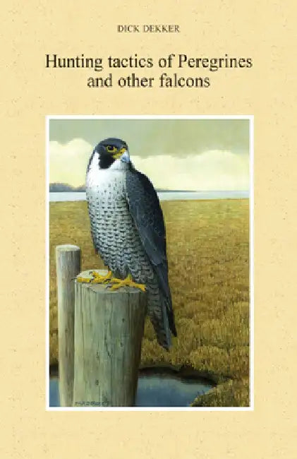 Hunting Tactics of Peregrines and other Falcons by Dick Dekker