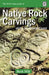 Guide to Indigenous Rock Carvings of the Northwest Coast: Petroglyphs and Rubbings of the Pacific Northwest by Beth Hill