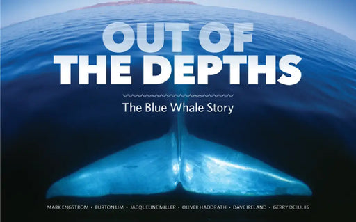 Out of the Depths: The Blue Whale Story by Mark Engstrom, Burton Lim, Oliver Haddrath