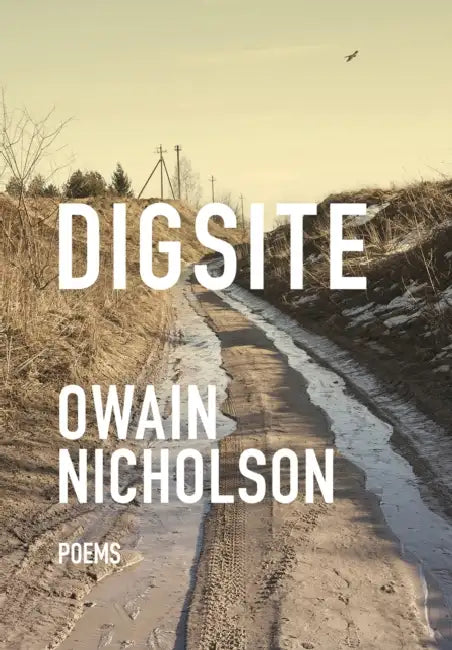 Digsite by Owain Nicholson