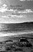 The Exile's Papers: The Dirt's Passion Is Flesh Sorrow by Wayne Clifford