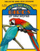 God Created the Birds of the World [With Stickers] by Earl Snellenberger