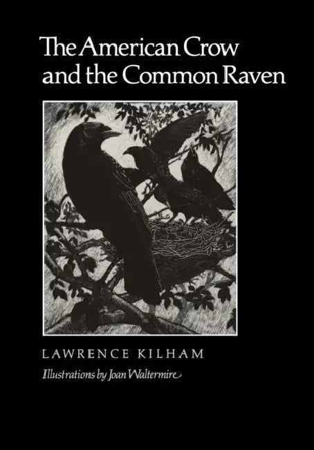 The American Crow & Common Raven by Lawrence Kilham, Joan Waltermire