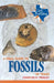 A Field Guide to Fossils of Texas by Charles Finsley