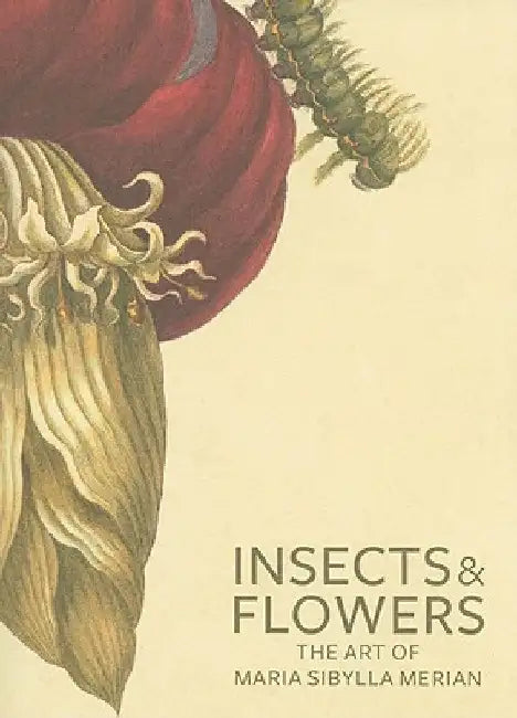 Insects & Flowers: The Art of Maria Sibylla Merian by David Brafman