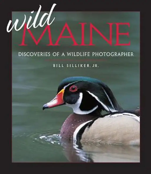 Wild Maine: Discoveries of a Wildlife Photographer by Bill Silliker