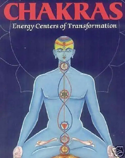 Chakras by Harish Johari