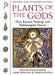 Plants of the Gods: Their Sacred, Healing, and Hallucinogenic Powers by Richard Evans Schultes