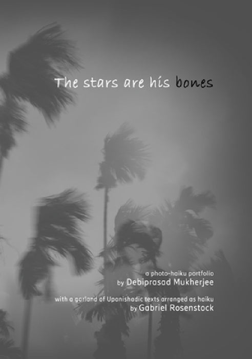 The stars are his bones: an atmospheric photo-haiku monograph with Upanishadic extracts by Debiprasad Mukherjee, Gabriel Rosenstock