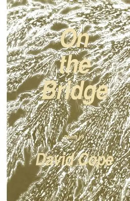 On the Bridge by David Cope