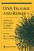 DNA Damage and Repair: Volume 2: DNA Repair in Higher Eukaryotes by Jac A. Nickoloff, Merl F. Hoekstra