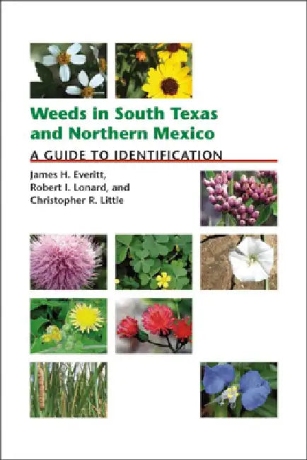 Weeds in South Texas and Northern Mexico: A Guide to Identification by James H. Everitt, Robert I. Lonard, Christopher R. Little