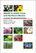 Weeds in South Texas and Northern Mexico: A Guide to Identification by James H. Everitt, Robert I. Lonard, Christopher R. Little