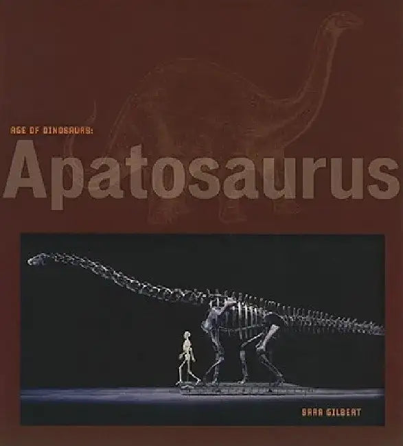 Apatosaurus by Sara Gilbert