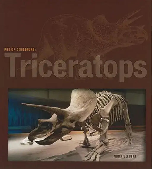 Triceratops by Sara Gilbert