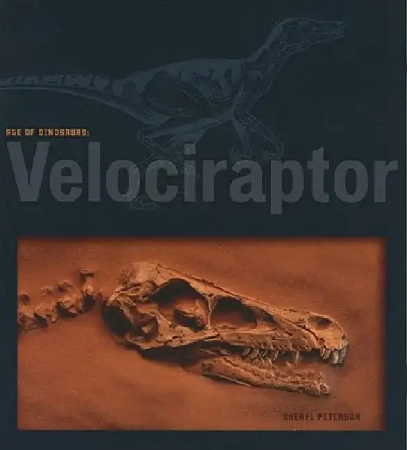 Velociraptor by Sheryl Peterson