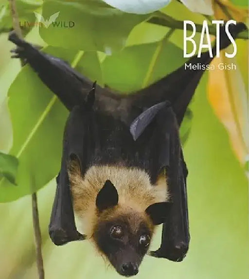 Living Wild: Bats by Melissa Gish