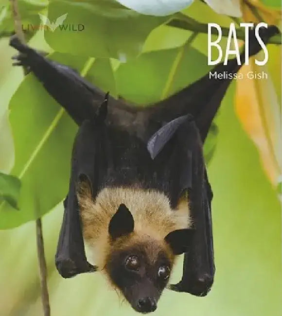 Living Wild: Bats by Melissa Gish