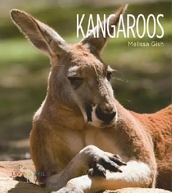 Living Wild: Kangaroos by Melissa Gish