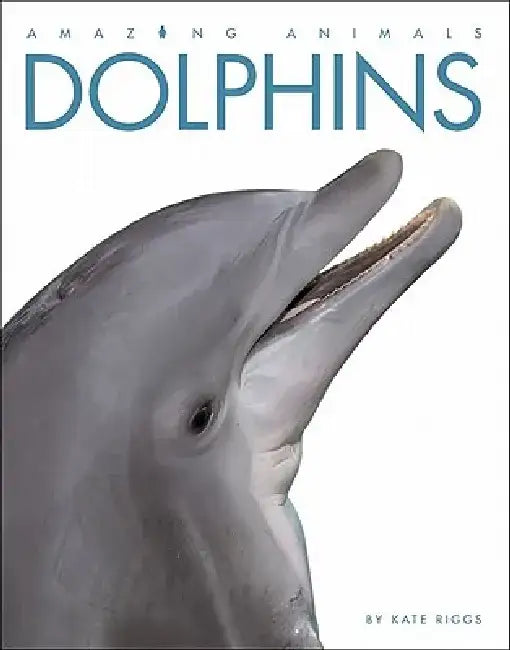 Amazing Animals: Dolphins by Kate Riggs