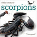 Creepy Creatures: Scorpions by Valerie Bodden