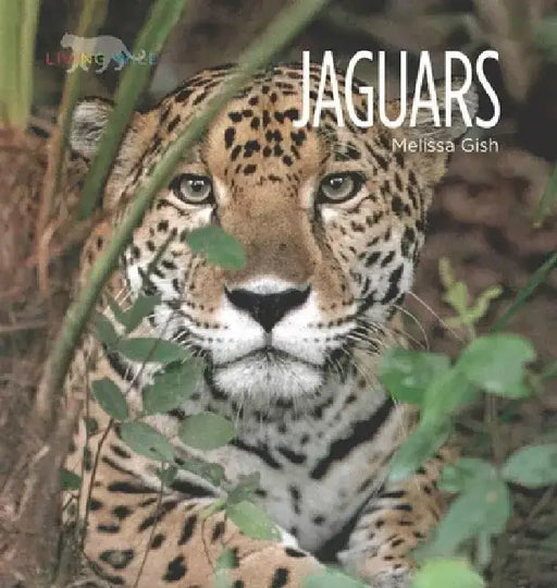 Living Wild: Jaguars by Melissa Gish