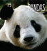 Living Wild: Pandas by Melissa Gish