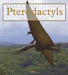 Pterodactyl by Kate Riggs