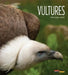 Vultures by Melissa Gish