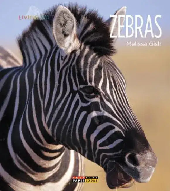 Zebras by Melissa Gish