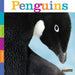 Seedlings: Penguins by Kate Riggs