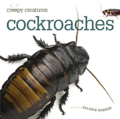 Cockroaches by Valerie Bodden