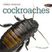 Cockroaches by Valerie Bodden