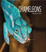 Chameleons by Melissa Gish