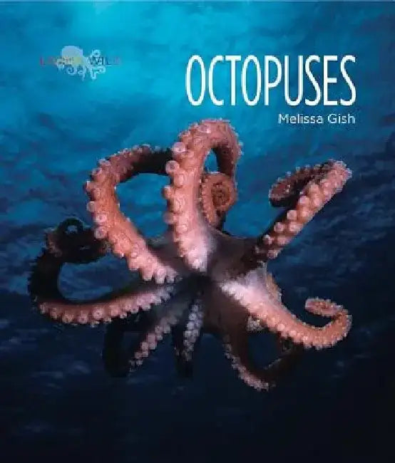 Octopuses by Melissa Gish