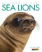 Amazing Animals: Sea Lions by Kate Riggs