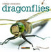 Dragonflies by Valerie Bodden