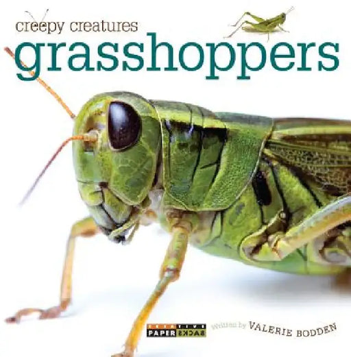 Grasshoppers by Valerie Bodden