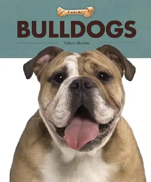 Bulldogs by Valerie Bodden