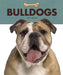 Bulldogs by Valerie Bodden