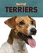 Terriers by Valerie Bodden