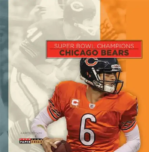 Chicago Bears by Aaron Frisch