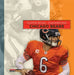 Chicago Bears by Aaron Frisch