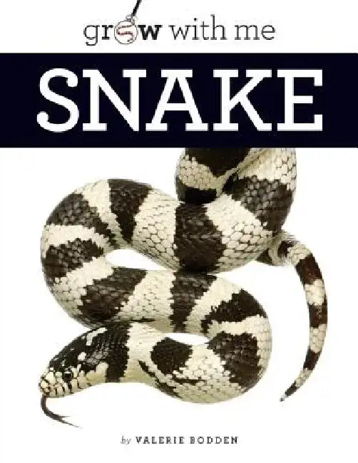 Snake by Valerie Bodden