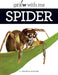 Spider by Valerie Bodden